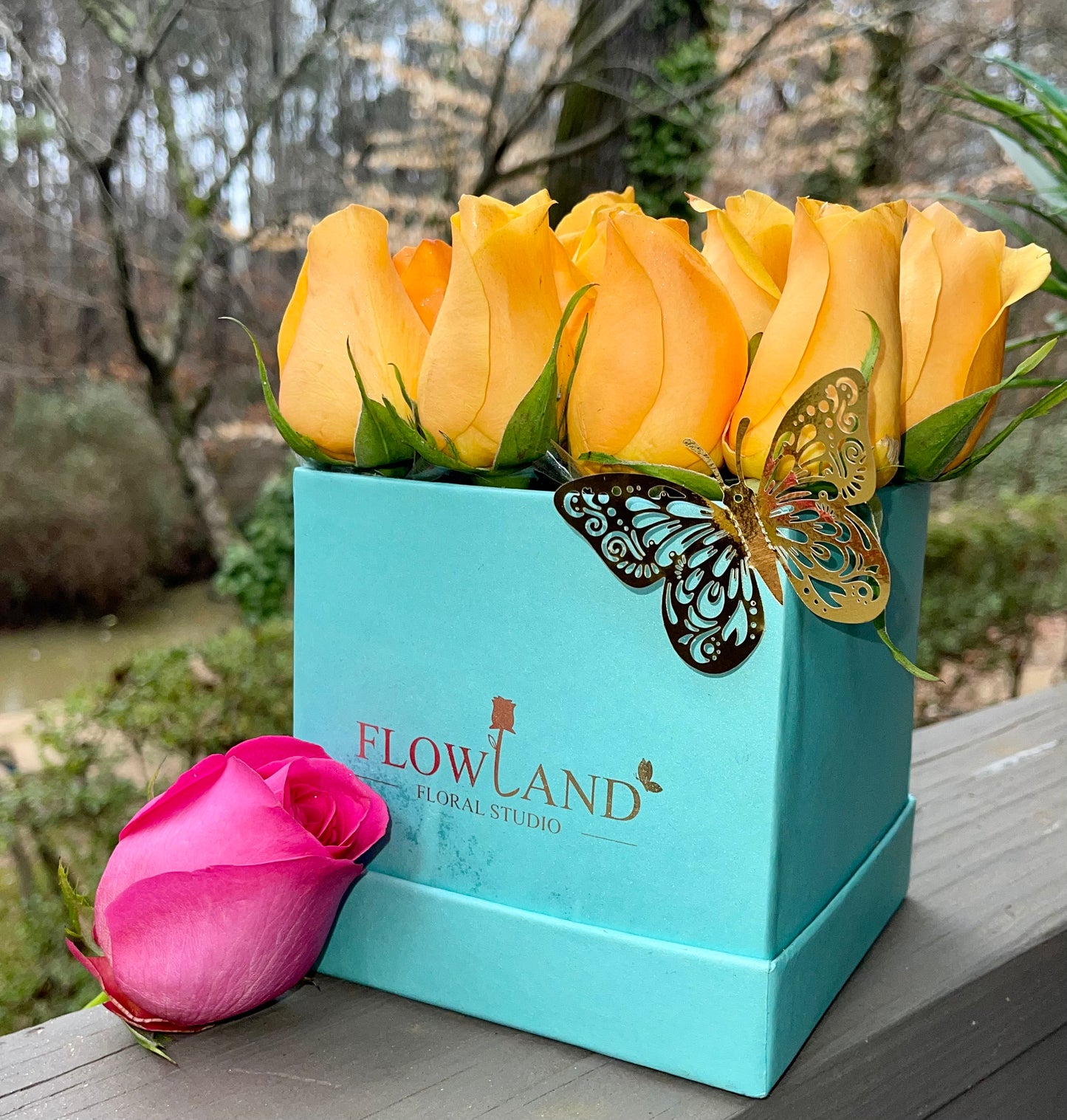Tiffany’s Tangerine