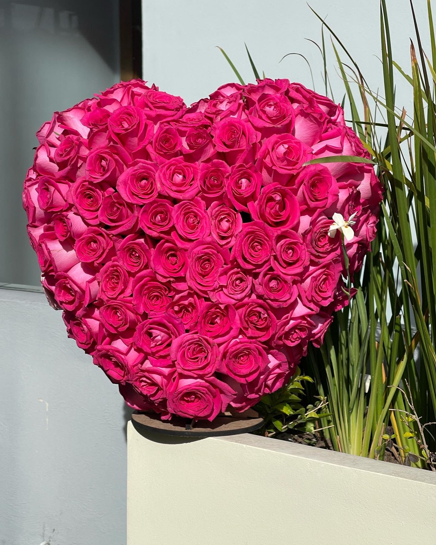 Pinky Heart Wooden 360’view💗