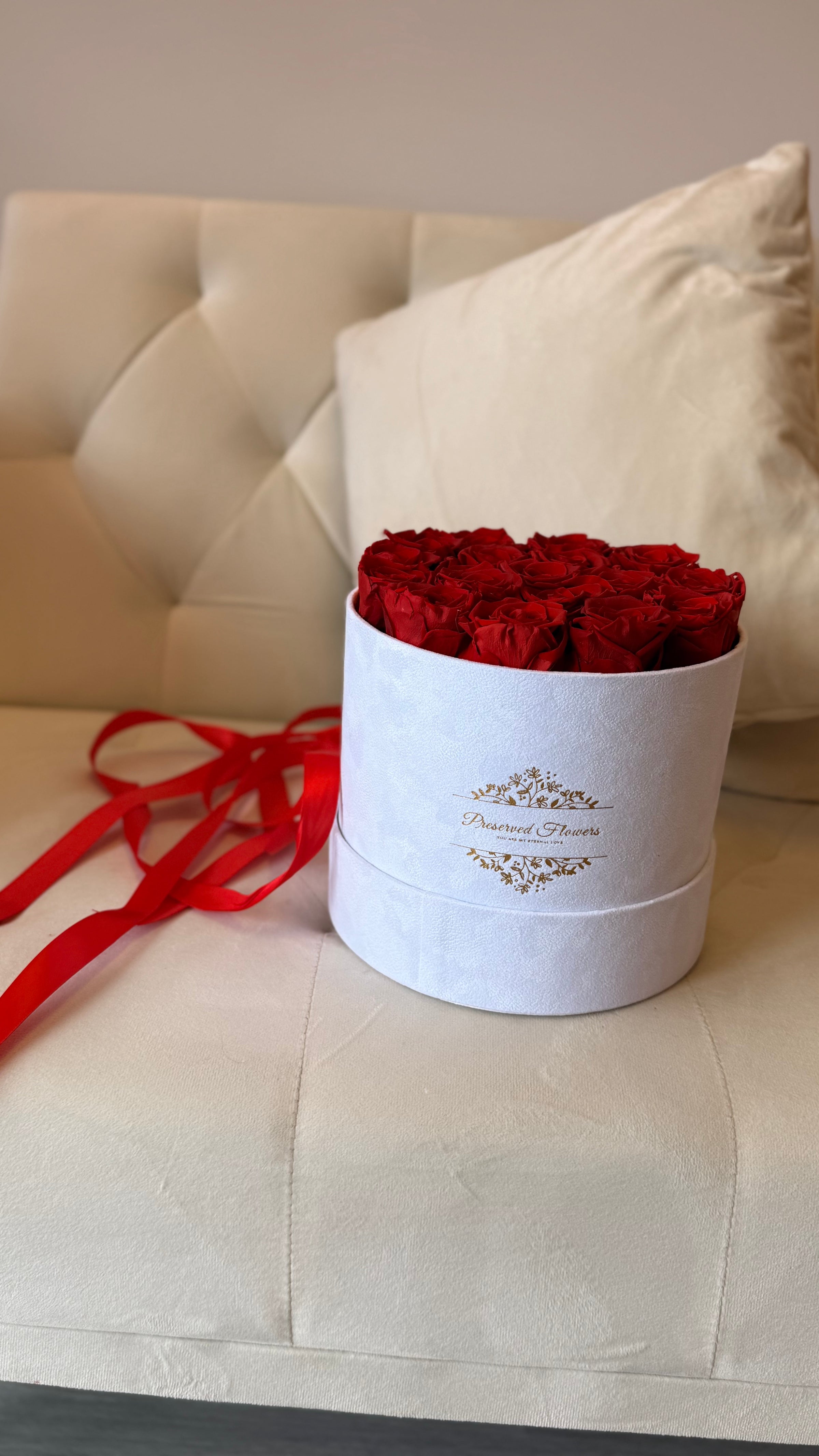 Red Velvet (preserved)
