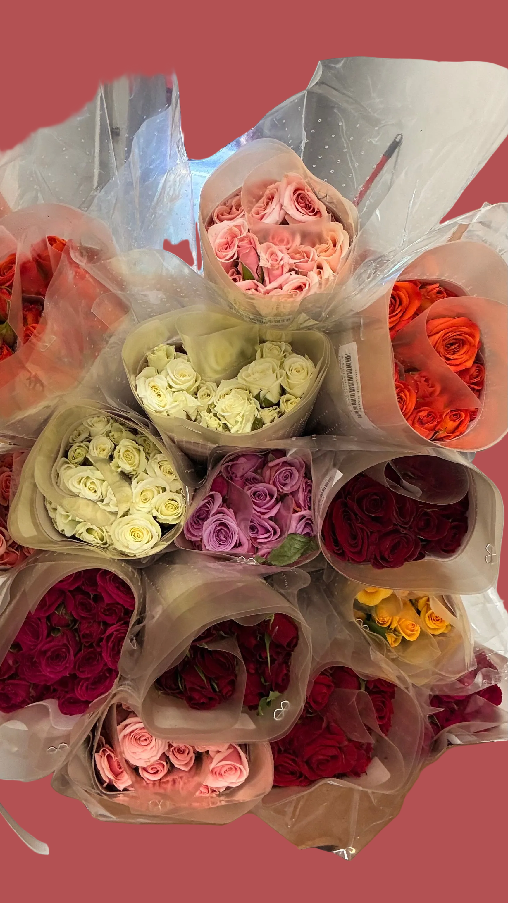 Spray Roses Assorted