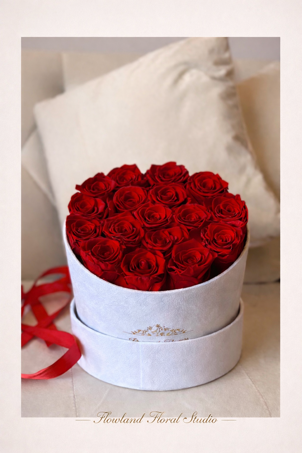 Red Velvet (preserved)