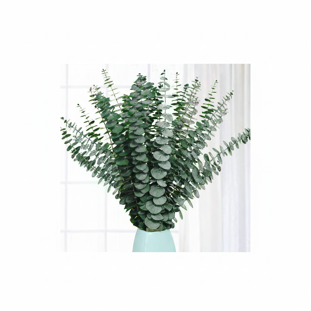 Eucalyptus